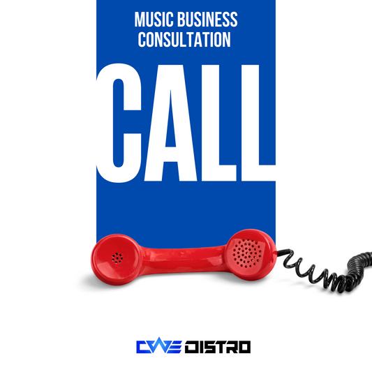 MUSIC BUSINESS CONSULTATION | PAYMENT PLANS AVAILABLE